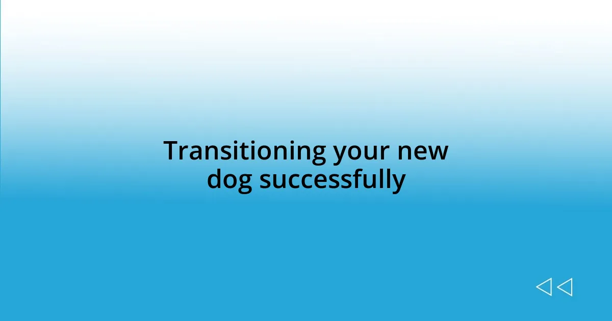 Transitioning your new dog successfully